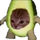 Avacatospin emote for Discord