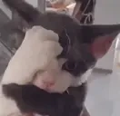 AURA emote for Discord