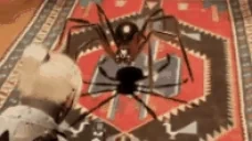 aurGoldieDance emote for Discord