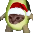Avacatospin emote for Discord