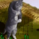 avghansMashallah emote for Discord