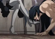 AverageChatterSeeingEsdeath emote for Discord