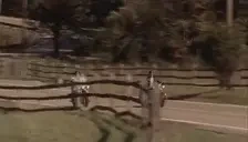 AverageMotorcycleRider emote for Discord