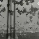 AverageChattingLore emote for Discord