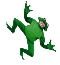 avacrazyfrog emote for Discord