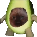 avocadoNemospin emote for Discord