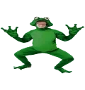 avafrogocopter emote for Discord