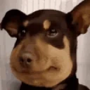 Awkward emote for Discord