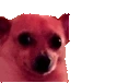 awkoverheat emote for Discord