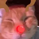 AWOO emote for Discord