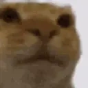 Awkward emote for Discord