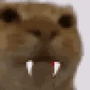 Awkward emote for Discord