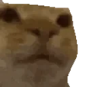 Awkward emote for Discord