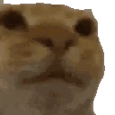 Awkwardv2 emote for Discord