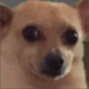 awkbedtime emote for Discord