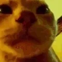 AwkwardParty emote for Discord