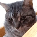 AWKWARD emote for Discord