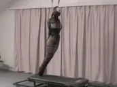 avastBandicoot emote for Discord