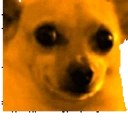 awkJam emote for Discord