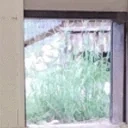 awaArrive emote for Discord