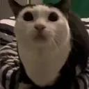 awawa emote for Discord