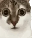 Aware emote for Discord