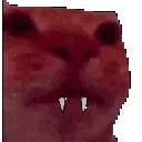 awkward emote for Discord