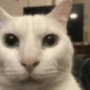 Aware emote for Discord