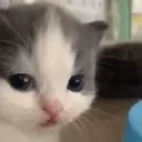 Awkward emote for Discord