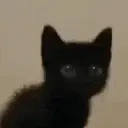 awww emote for Discord