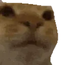 awkward emote for Discord