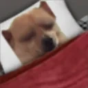 awkraidtime emote for Discord