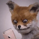 AwkwardFyvie emote for Discord