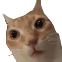 awkward emote for Discord