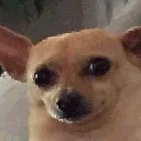 awkErm emote for Discord