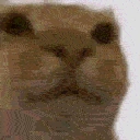 AwkwardOverload emote for Discord