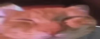 awoo emote for Discord