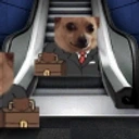 awkalator emote for Discord