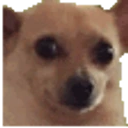 awkdisco emote for Discord