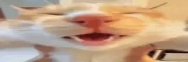 AWAAAAAA emote for Discord