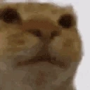 Awkwmmm emote for Discord