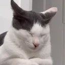 awakening emote for Discord