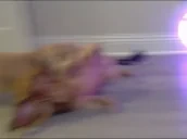 awkward emote for Discord