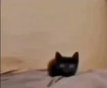 awwwsplode emote for Discord