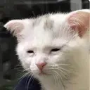 awake emote for Discord