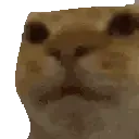 awkward emote for Discord