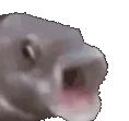 awOOOO emote for Discord
