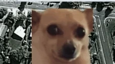 AwkZoomOut emote for Discord