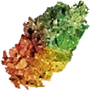 bjWEED1 emote for Discord