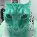 bjuh emote for Discord